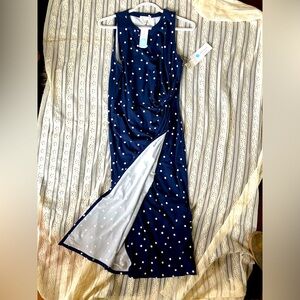 NWT blue and white polka dot dress